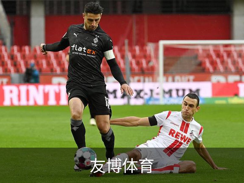 关于友博体育